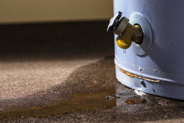 Best Basement water damage restoration  in Halifax, VA