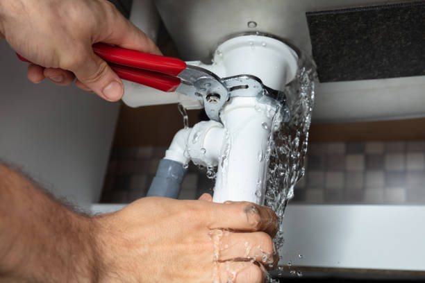 Best Professional water damage repair  in Halifax, VA