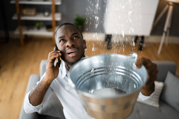Best Flood restoration services  in Halifax, VA