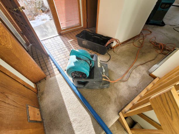 Best Flood restoration services  in Halifax, VA