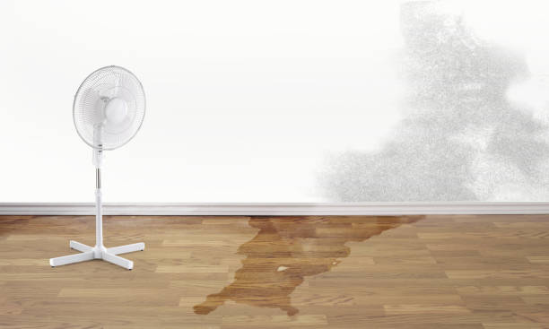 Best Flooded house restoration  in Halifax, VA