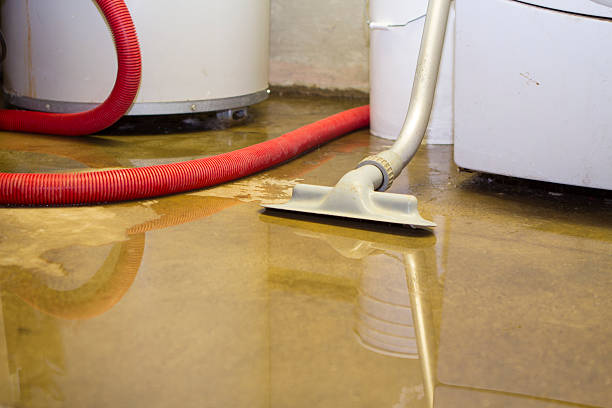 Best Sewage cleanup and water damage restoration  in Halifax, VA