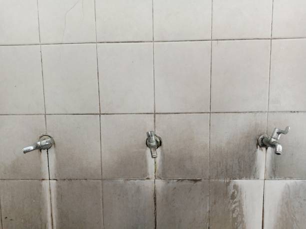 Best Flood damage cleanup  in Halifax, VA