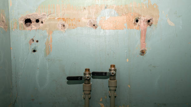 Best Fire Damage Restoration  in Halifax, VA