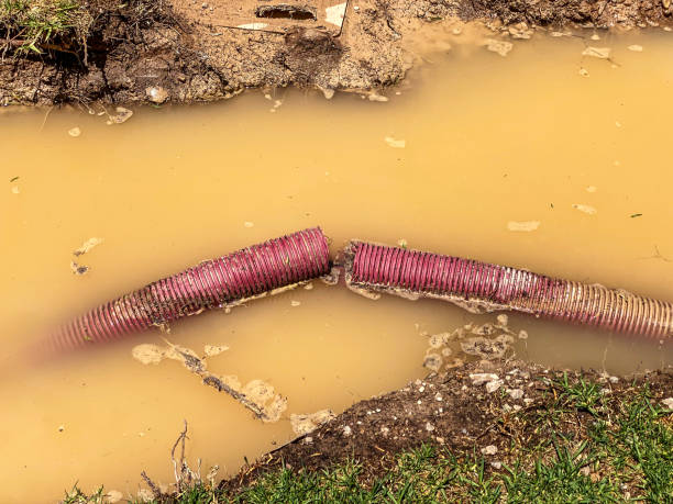 Best Carpet water damage restoration  in Halifax, VA