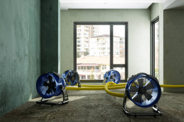 Best Sewage cleanup and water damage restoration  in Halifax, VA
